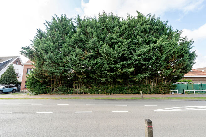 Mooi breed perceel van 5a 51ca voor bebouwen met een meergezinswoning bestaande uit maximum twee bouwlagen onder de kroonlijst, met hellend dak. Extra documenten op aanvraag.

Een tweede grond naast deze grond staat ook te koop voor een prijs van 175.000 