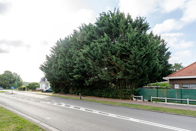 Mooi breed perceel van 5a 51ca voor bebouwen met een meergezinswoning bestaande uit maximum twee bouwlagen onder de kroonlijst, met hellend dak. Extra documenten op aanvraag.

Een tweede grond naast deze grond staat ook te koop voor een prijs van 175.000 